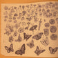 Maya Kern Art Book: Confetti