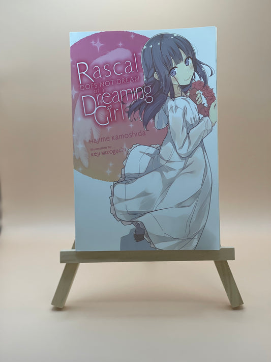 Rascal Does Not Dream of Dreaming Girl Novel